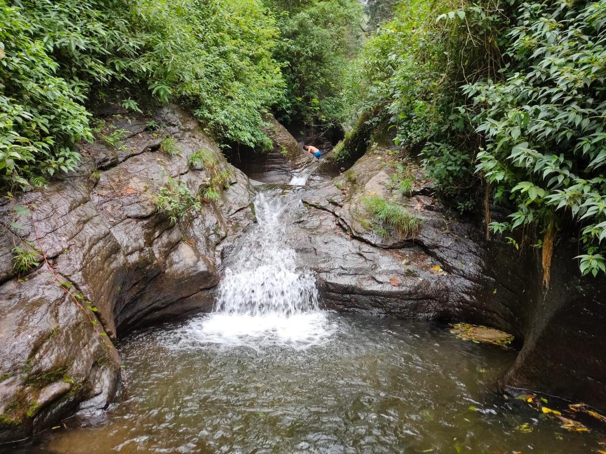 Villoonnickal Homestay Munnar Eksteriør bilde