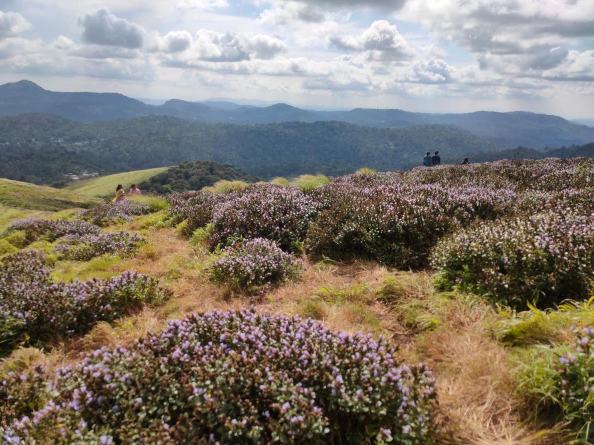 Villoonnickal Homestay Munnar Eksteriør bilde