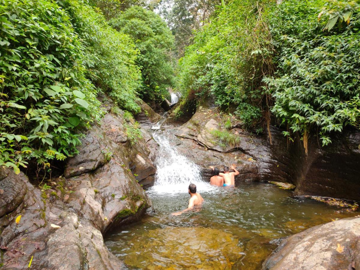 Villoonnickal Homestay Munnar Eksteriør bilde